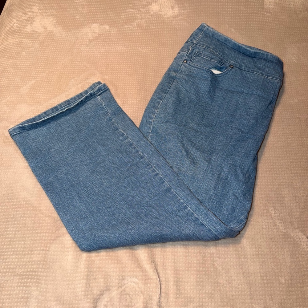 D&Co Classic Blue Women's Jeans  22WP